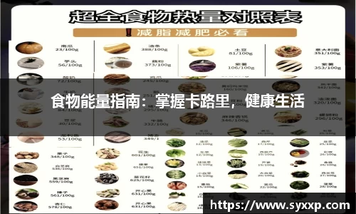 食物能量指南：掌握卡路里，健康生活